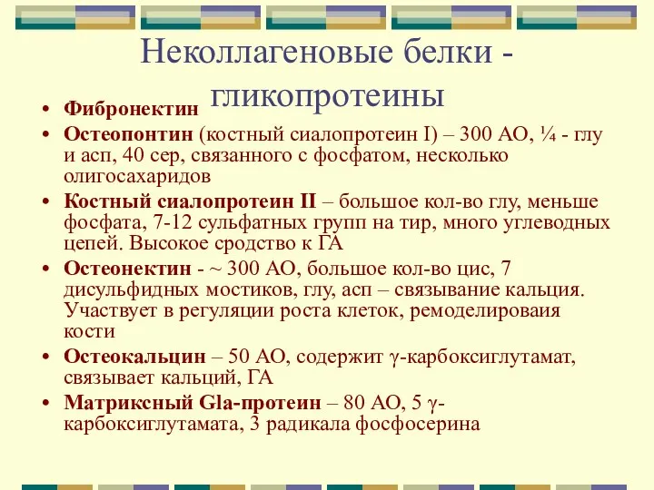 Неколлагеновые белки -гликопротеины Фибронектин Остеопонтин (костный сиалопротеин I) – 300