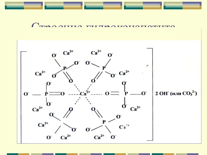 Строение гидроксиапатита