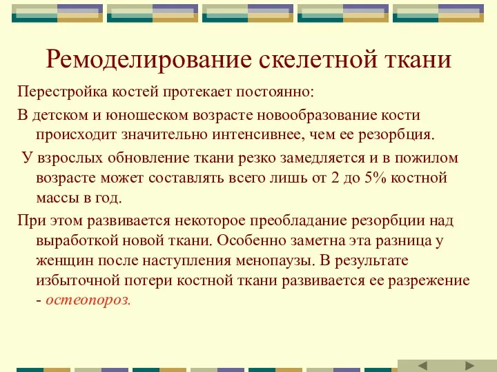 Ремоделирование скелетной ткани Перестройка костей протекает постоянно: В детском и