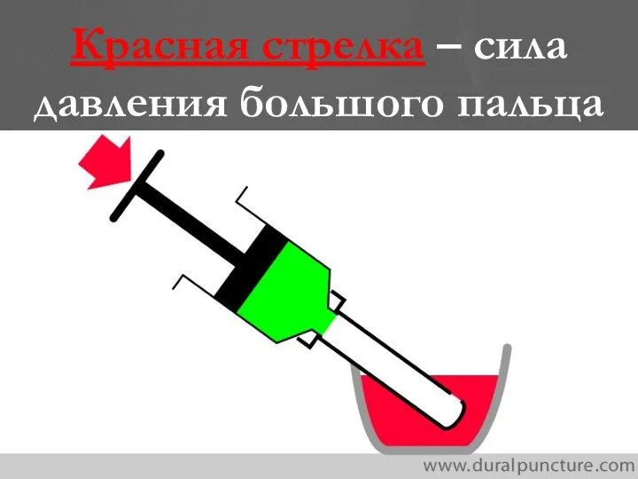 Красная стрелка – сила давления большого пальца * copyright (your organization) 2003