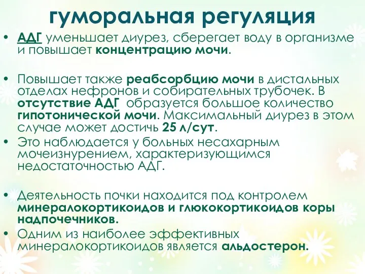 гуморальная регуляция АДГ уменьшает диурез, сберегает воду в организме и повышает концентрацию мочи.