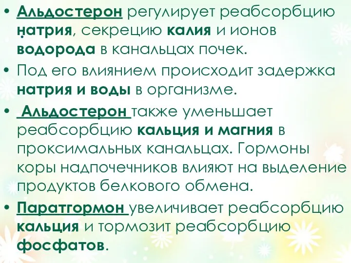 . Альдостерон регулирует реабсорбцию натрия, секрецию калия и ионов водорода в канальцах почек.