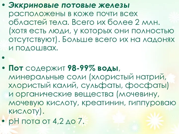 Эккриновые потовые железы расположены в коже почти всех областей тела. Всего их более