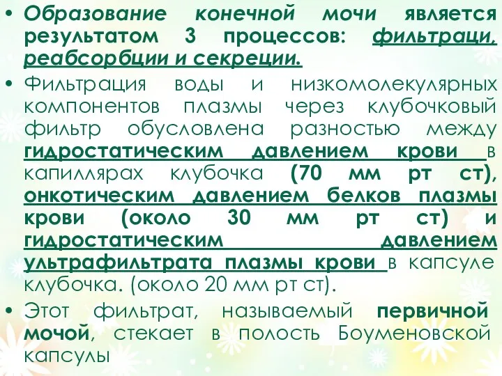 Образование конечной мочи является результатом 3 процессов: фильтраци, реабсорбции и