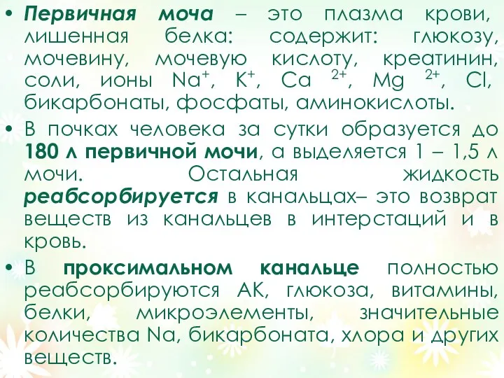 Первичная моча – это плазма крови, лишенная белка: содержит: глюкозу,