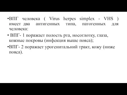 ВПГ человека ( Virus herpes simplex - VHS ) имеет