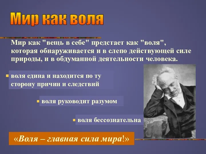 Мир как "вещь в себе" предстает как "воля", которая обнаруживается и в слепо