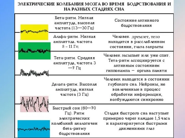 8 – 11 Гц дремлет, тело