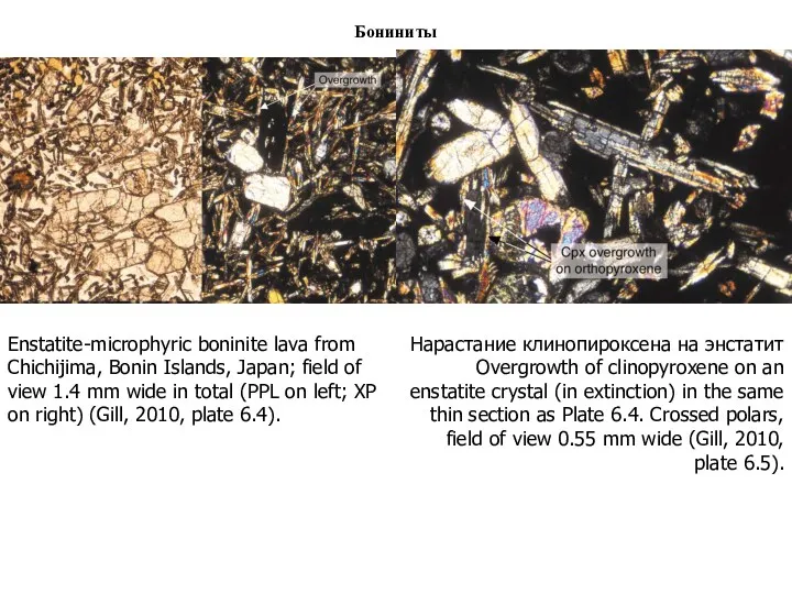 Бониниты Enstatite-microphyric boninite lava from Chichijima, Bonin Islands, Japan; field