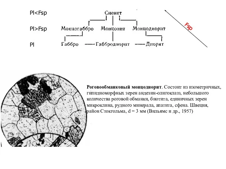 Pl>Fsp Pl Pl Fsp Роговообманковый монцодиорит. Состоит из изометричных, гипидиоморфных