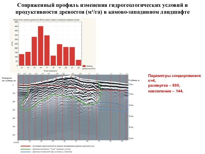 Сопряженный профиль изменения гидрогеологических условий и продуктивности древостоя (м³/га) в