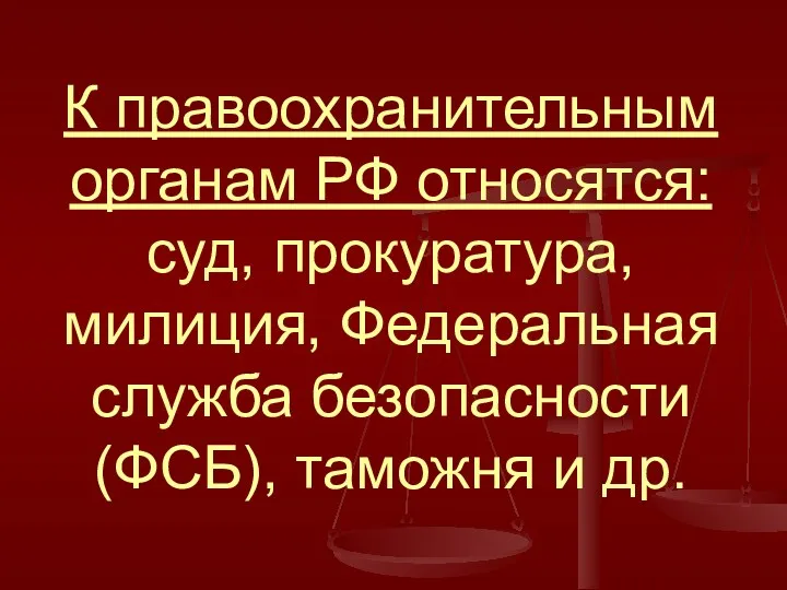 К правоохранительным органам РФ относятся: суд, прокуратура, милиция, Федеральная служба безопасности (ФСБ), таможня и др.