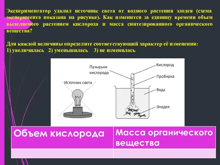 Экспериментатор удалил источник света от водного растения элодея (схема эксперимента