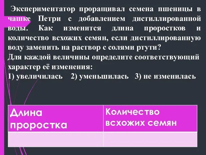 Экспериментатор проращивал семена пшеницы в чашке Петри с добавлением дистиллированной