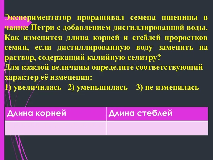 Экспериментатор проращивал семена пшеницы в чашке Петри с добавлением дистиллированной