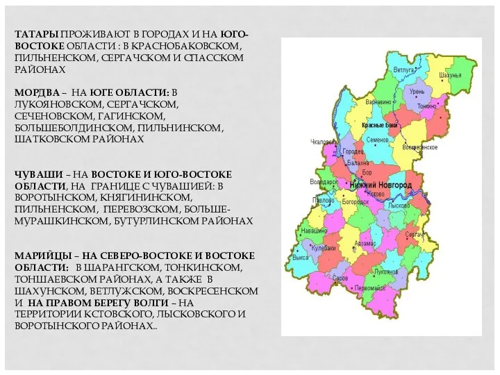 ТАТАРЫ ПРОЖИВАЮТ В ГОРОДАХ И НА ЮГО-ВОСТОКЕ ОБЛАСТИ : В