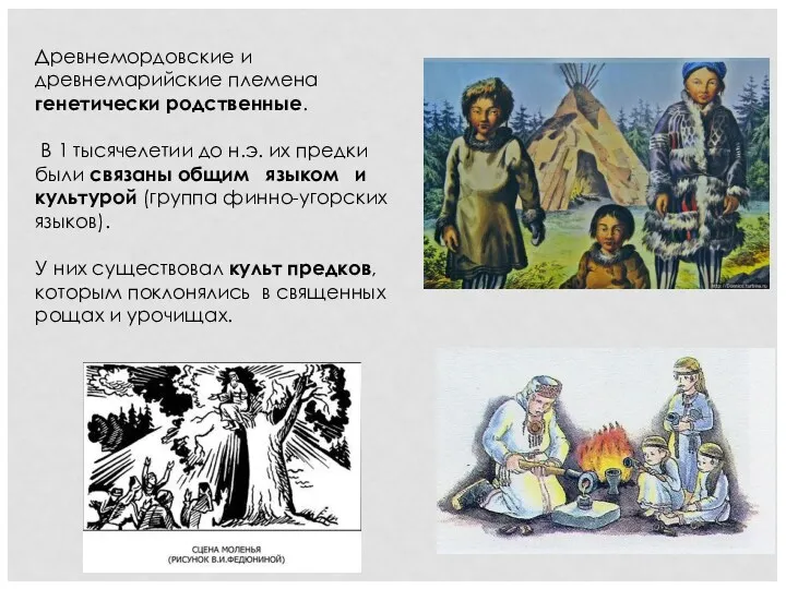 Древнемордовские и древнемарийские племена генетически родственные. В 1 тысячелетии до