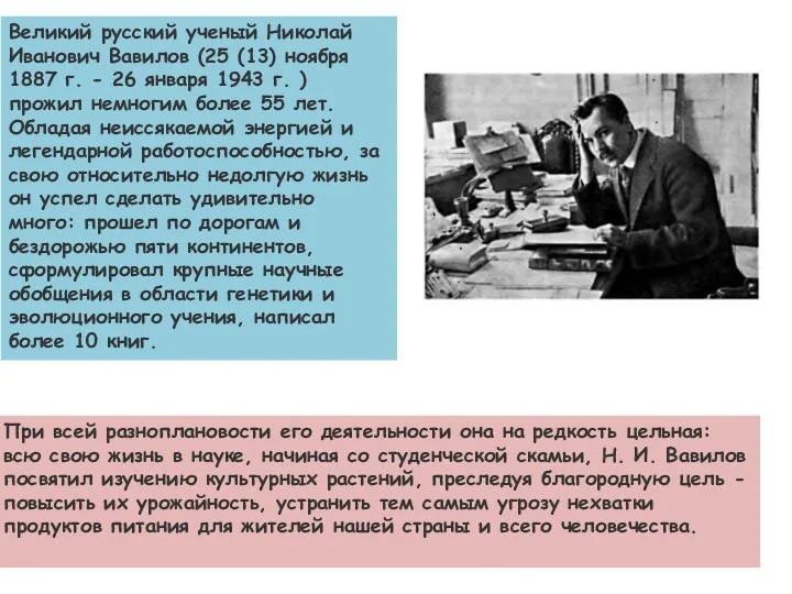 Великий русский ученый Николай Иванович Вавилов (25 (13) ноября 1887