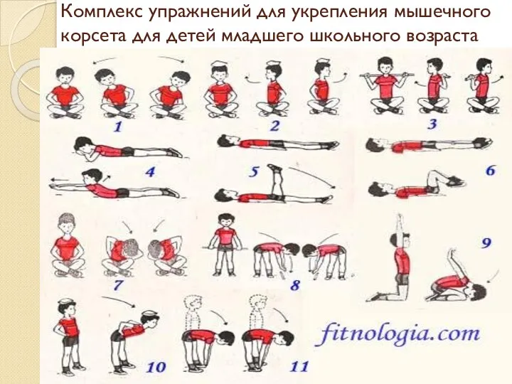 Комплекс упражнений для укрепления мышечного корсета для детей младшего школьного возраста