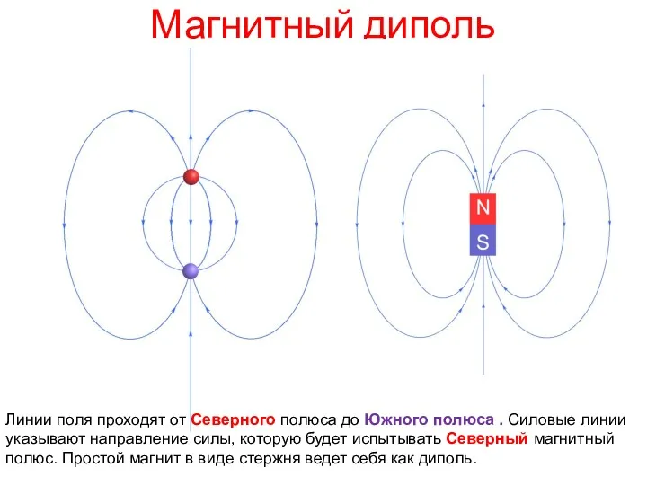 Магнитный диполь Линии поля проходят от Северного полюса до Южного полюса . Силовые