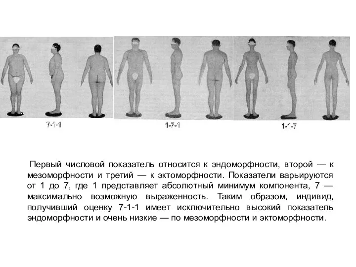 Первый числовой показатель относится к эндоморфности, второй — к мезоморфности