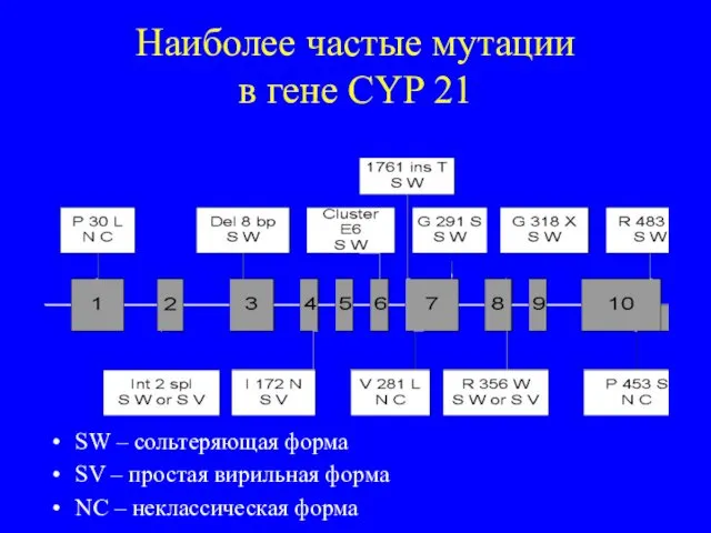 Наиболее частые мутации в гене CYP 21 SW – сольтеряющая