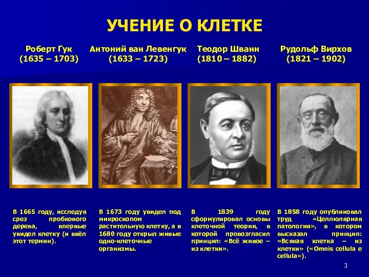 Роберт Гук (1635 – 1703) В 1665 году, исследуя срез пробкового дерева, впервые