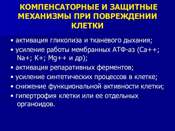 КОМПЕНСАТОРНЫЕ И ЗАЩИТНЫЕ МЕХАНИЗМЫ ПРИ ПОВРЕЖДЕНИИ КЛЕТКИ • активация гликолиза