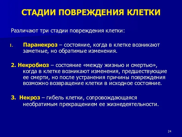 СТАДИИ ПОВРЕЖДЕНИЯ КЛЕТКИ Различают три стадии повреждения клетки: Паранекроз –