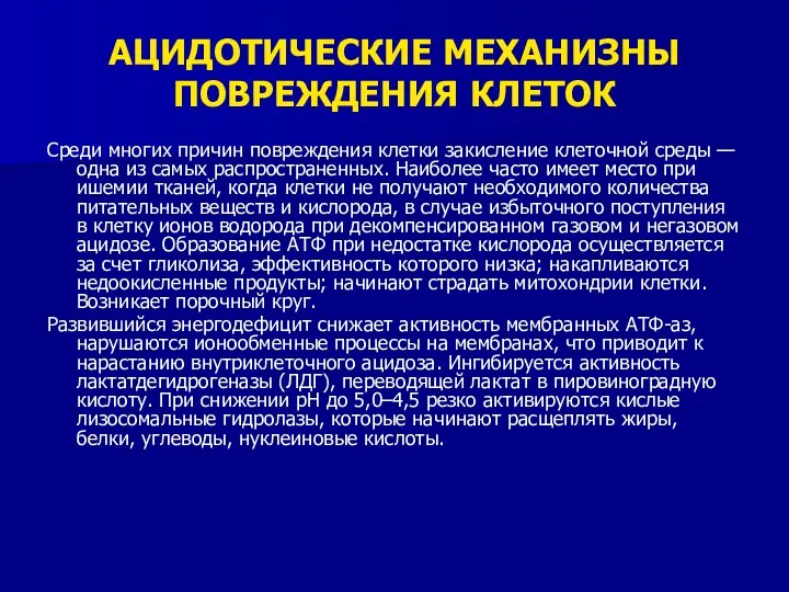 АЦИДОТИЧЕСКИЕ МЕХАНИЗНЫ ПОВРЕЖДЕНИЯ КЛЕТОК Среди многих причин повреждения клетки закисление