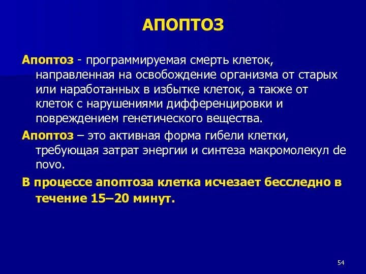 АПОПТОЗ Апоптоз - программируемая смерть клеток, направленная на освобождение организма от старых или