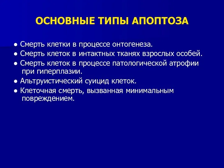 ОСНОВНЫЕ ТИПЫ АПОПТОЗА ● Смерть клетки в процессе онтогенеза. ●