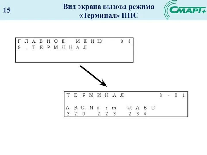 Вид экрана вызова режима «Терминал» ППС 15