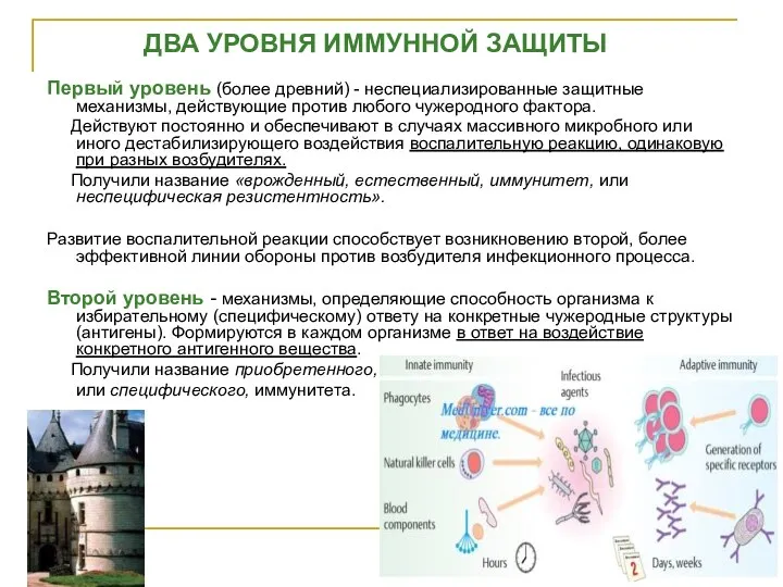 ДВА УРОВНЯ ИММУННОЙ ЗАЩИТЫ Первый уровень (более древний) - неспециализированные