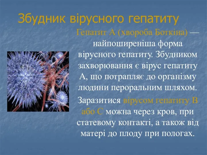 Збудник вірусного гепатиту Гепатит А (хвороба Боткіна) — найпоширеніша форма