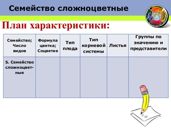 Семейство сложноцветные План характеристики: