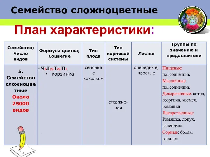 План характеристики: Семейство сложноцветные