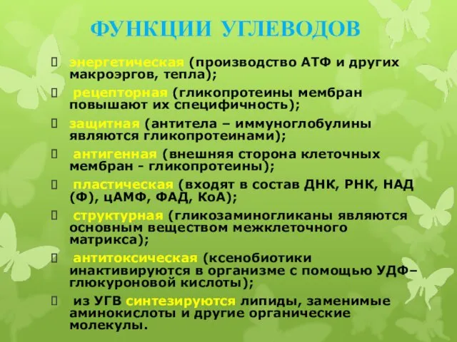 ФУНКЦИИ УГЛЕВОДОВ энергетическая (производство АТФ и других макроэргов, тепла); рецепторная