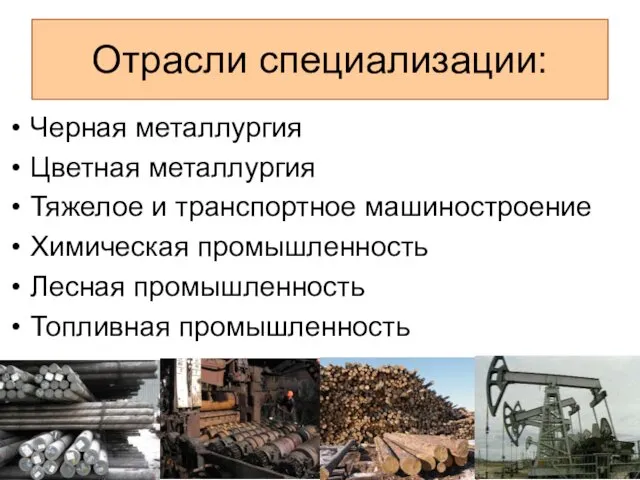 Отрасли специализации: Черная металлургия Цветная металлургия Тяжелое и транспортное машиностроение Химическая промышленность Лесная промышленность Топливная промышленность