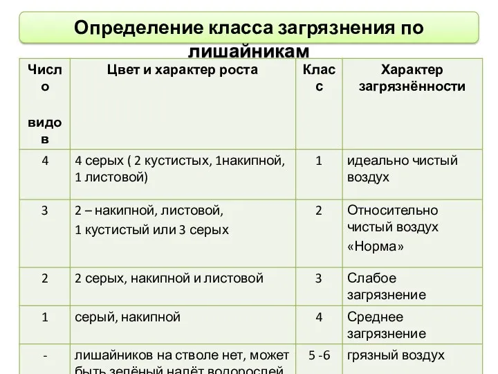 Определение класса загрязнения по лишайникам