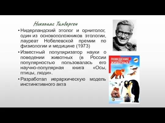 Николаас Тинберген Нидерландский этолог и орнитолог, один из основоположников этологии,