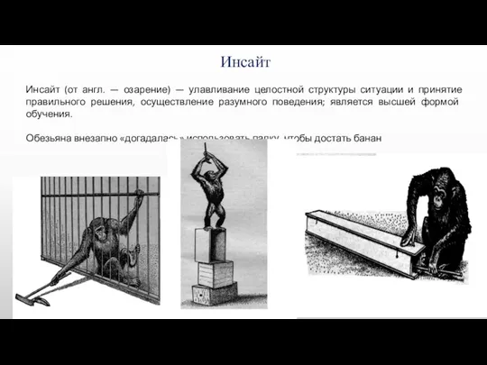 Инсайт Инсайт (от англ. — озарение) — улавливание целостной структуры