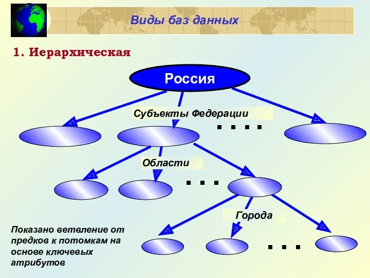 1. Иерархическая Показано ветвление от предков к потомкам на основе ключевых атрибутов Виды баз данных