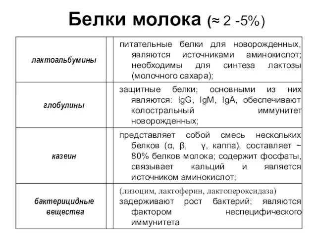 Белки молока (≈ 2 -5%)