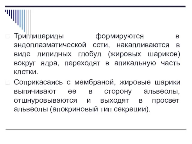 Триглицериды формируются в эндоплазматической сети, накапливаются в виде липидных глобул