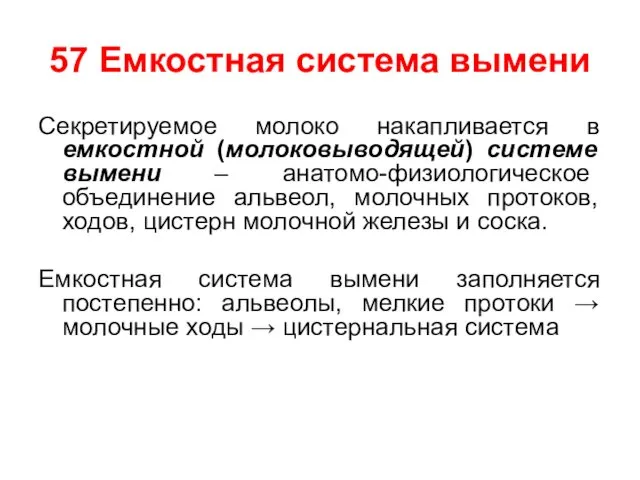 57 Емкостная система вымени Секретируемое молоко накапливается в емкостной (молоковыводящей)