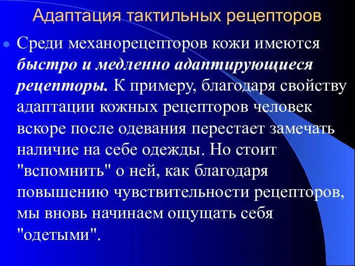 Адаптация тактильных рецепторов Среди механорецепторов кожи имеются быстро и медленно