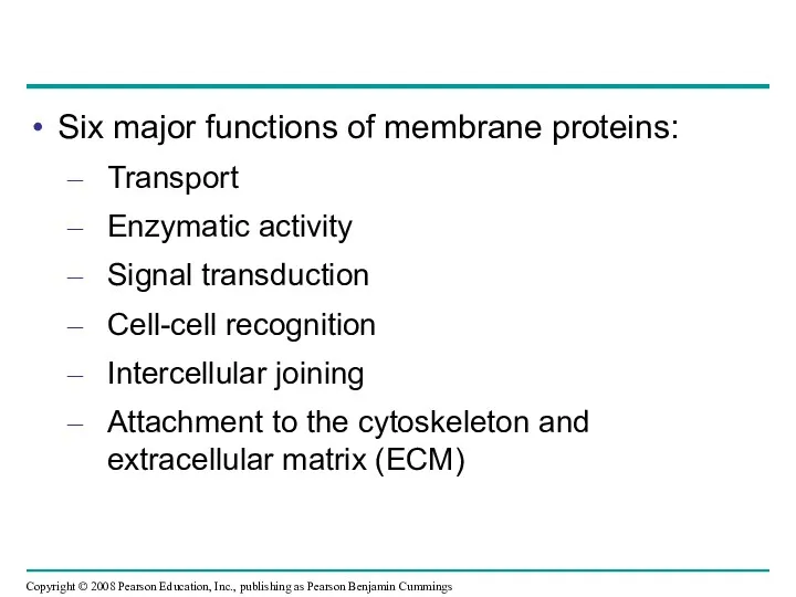 Six major functions of membrane proteins: Transport Enzymatic activity Signal