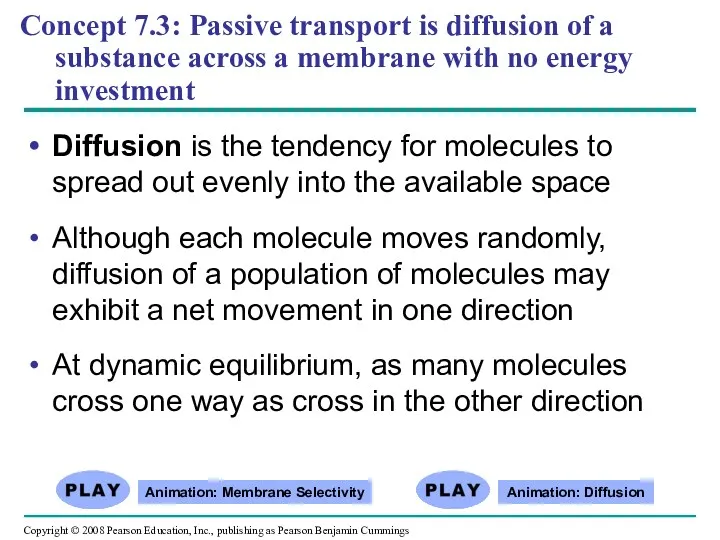 Concept 7.3: Passive transport is diffusion of a substance across