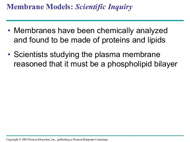 Membrane Models: Scientific Inquiry Membranes have been chemically analyzed and